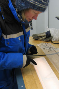 I_Seierstad_freezer I_Seierstad_freezer