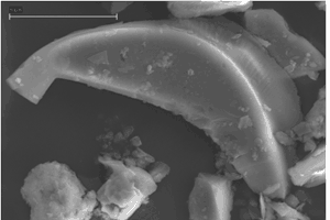 Tephra Tephra